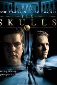 头骨俱乐部在线观看,头骨俱乐部在线揭秘之旅 第1张 头骨俱乐部在线观看,头骨俱乐部在线揭秘之旅 第1张